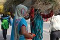 Delhi, India 2012