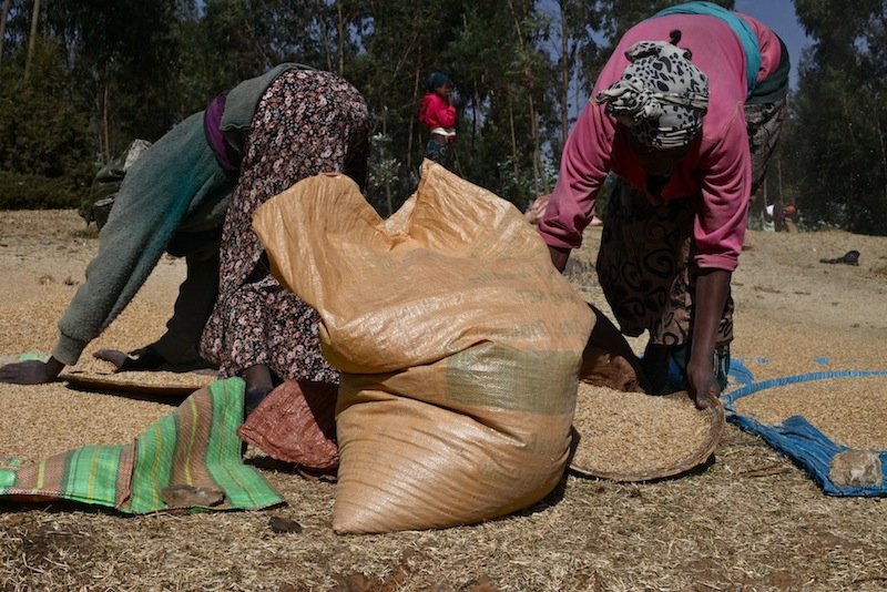 Addis Ababa, Ethopia 2012